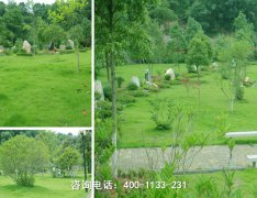 北京市大兴区天慈墓园怎么样、位置在哪儿、电话和环境好吗