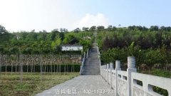 河南郑州市新密市凤凰山公墓位置在哪里