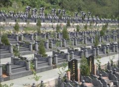 内蒙古呼伦贝尔市新巴尔虎右旗、陈巴尔虎旗有哪几个公墓陵园墓园？