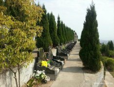 陕西省安康市汉滨区、汉阴县、白河、石泉、宁陕县有什么公墓陵园墓地？