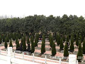 河南郑州市惠济区老鸭陈净土生态园公墓