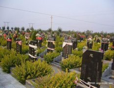 河南三门峡市湖滨区、陕州区、灵宝市有哪些公墓陵园墓地-殡葬信息网