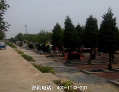 河南新乡卫滨区周边陵园公墓有哪些？离
