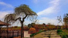 你知道新疆自治区的公墓陵园有哪些吗？