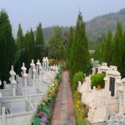 枣庄市莲花山生态墓园位置地址、电话和峄城区公墓价格以及环境好不好