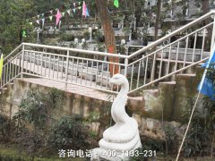 重庆大渡口区公墓价格表？哪个墓园价格便宜低？大渡口区墓地价格查询？