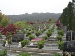 重庆长寿区公墓大全—长寿区各家陵园位