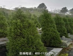 重庆酉阳县周边有什么陵园公墓？离酉阳