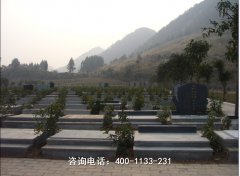 山西阳泉市狮脑山墓地位置地址、联系电话和寝园最低价陵墓多少钱