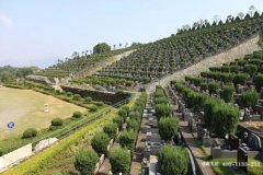 福州市圣泉陵园墓地价格多少钱一个？