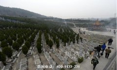 南京环境各方面比较好的陵园推荐哪个？
