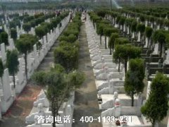 南京市栖霞区性价比高的陵园推荐哪个？