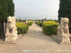 河北沧州市青县永安墓园联系电话、位置