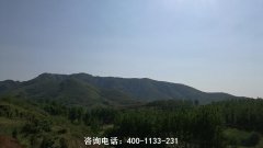 河南驻马店泌阳县周边有几家陵园公墓？