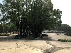 湖北荆州市洪湖市墓地|洪湖市陵园|洪湖