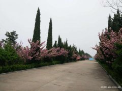 临沂市鑫圣园墓园位置在哪儿、联系电话和公墓价格优惠活动