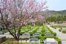 山西阳泉市城区、矿区、郊区有哪些公墓陵园墓园？