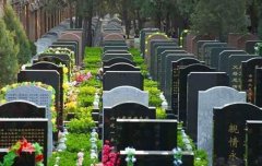 八宝山公墓里，被祭拜最多的人是谁？公