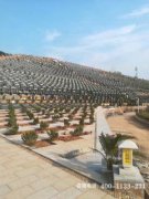 衡阳市公墓价格全解析：从惠民政策到购