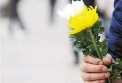 广东惠州暂停清明祭扫，提供免费鲜花代